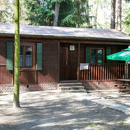 Hotel Lesna Ryba Jedlanka Stara Habitación foto